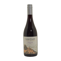 Andes Vineyards Pinot Noir 2022